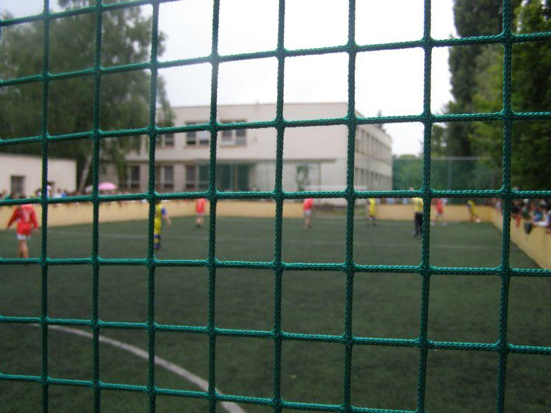 P6250041.jpg